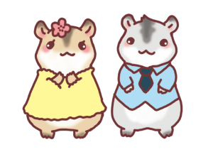 couple-hamster
