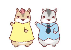 couple-hamster4